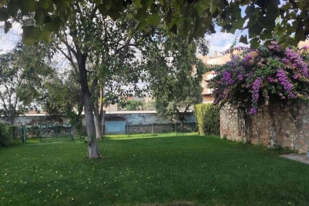 Home Garden Grosseto Exteriör bild